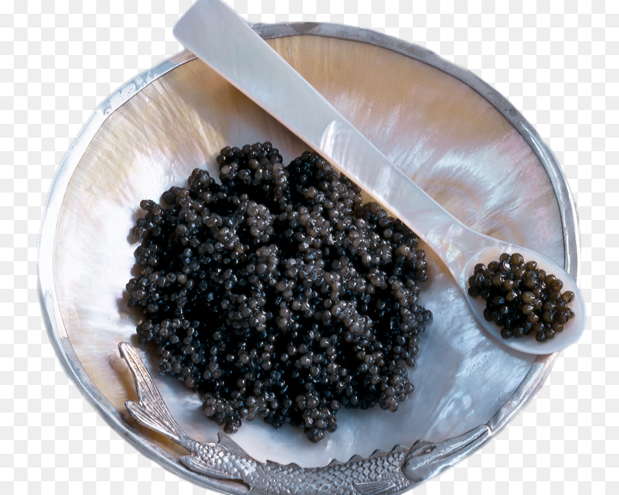 Caviar，O Esturjão PNG