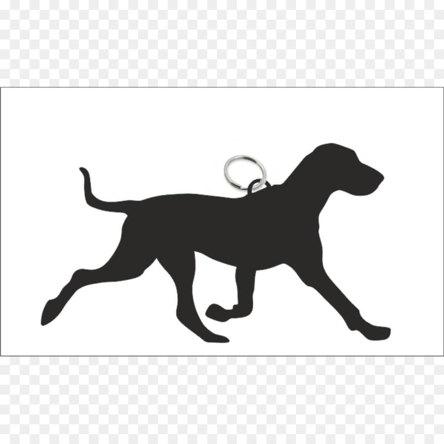 Labrador Retriever，Filhote De Cachorro PNG