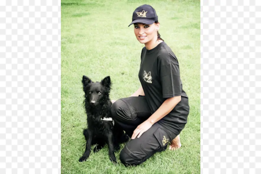 Schipperke，Kelpie Australiano PNG