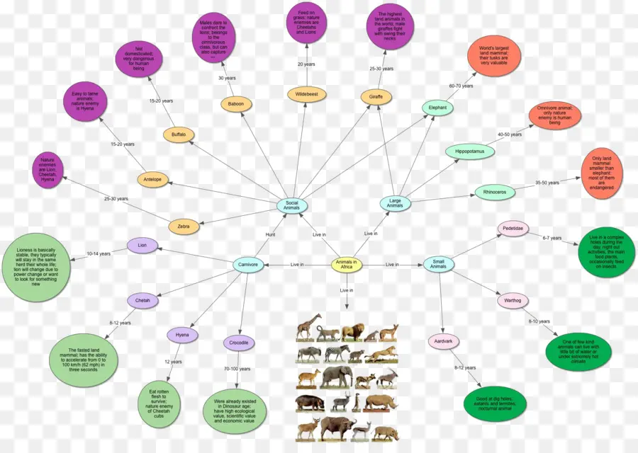 Gráfico De Animais，Diagrama PNG