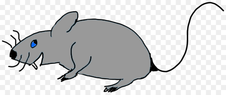 Rato Cinzento，Roedor PNG