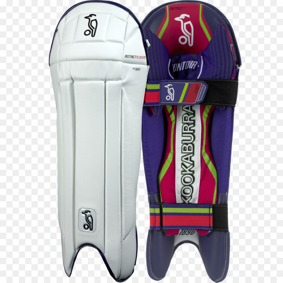 Shin Guard，Cricket PNG