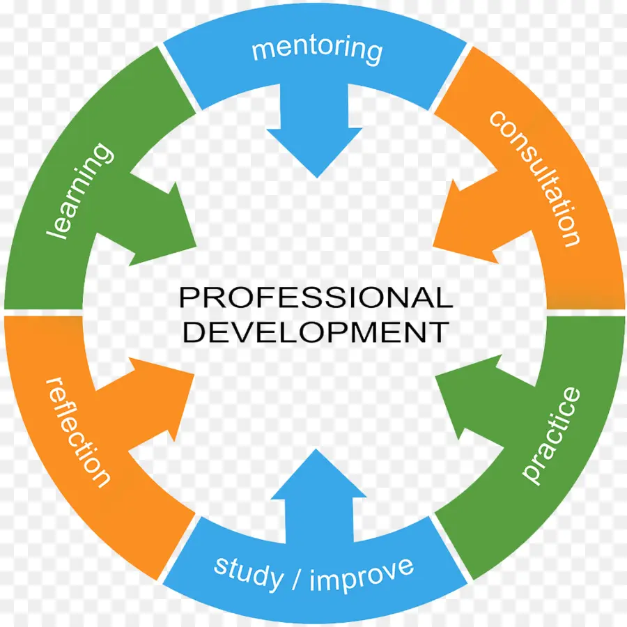 Ciclo De Desenvolvimento Profissional，Mentoria PNG