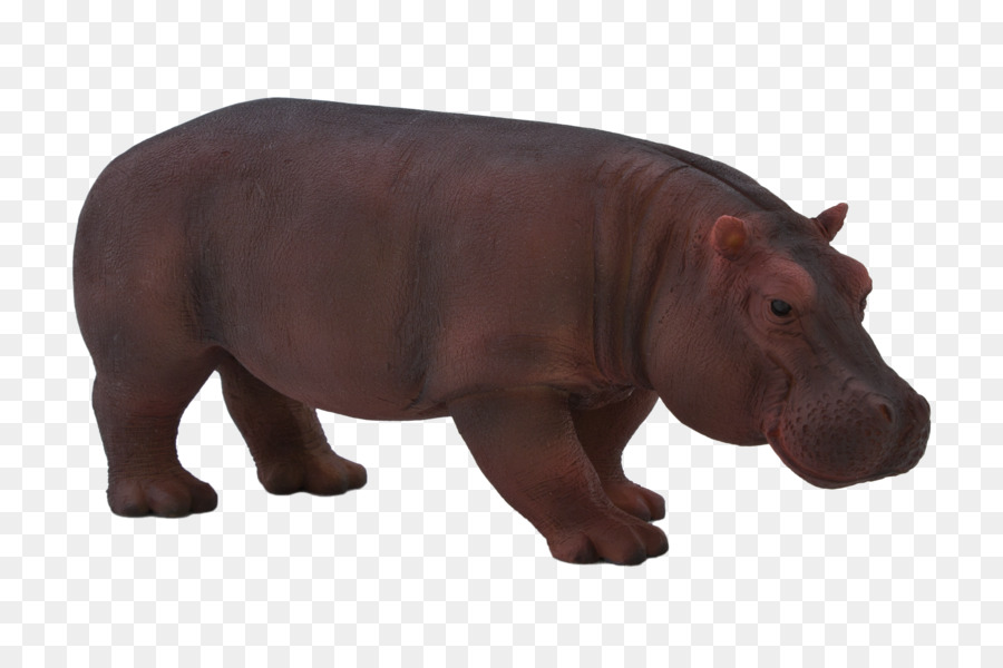Hipopótamo，O Dromedário PNG