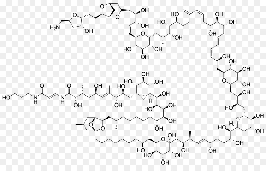 Palytoxin，Maitotoxin PNG
