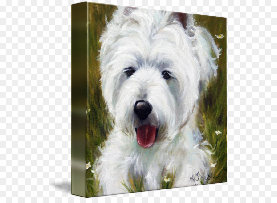 West Highland White Terrier，Glen PNG