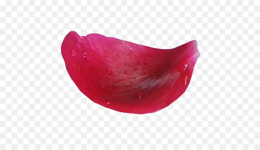 Pétala De Rosa，Vermelho PNG