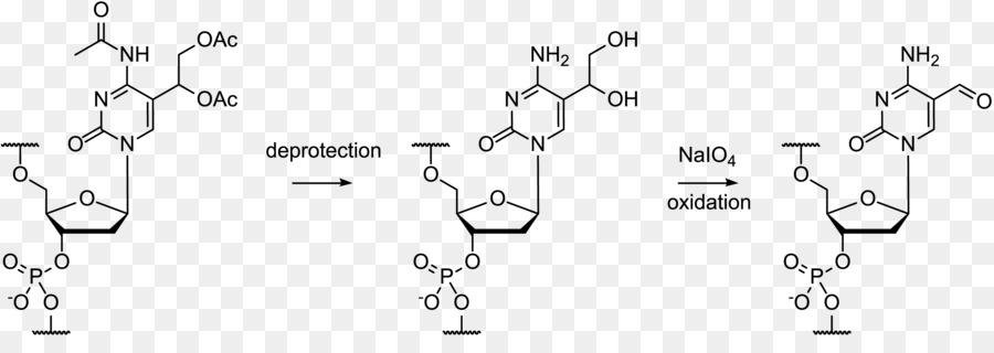 Estrutura Química，Química PNG