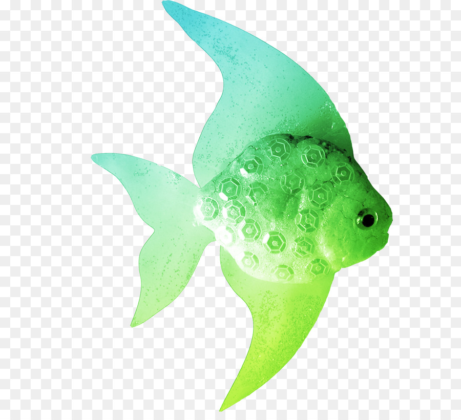 Peixe，海水魚 PNG