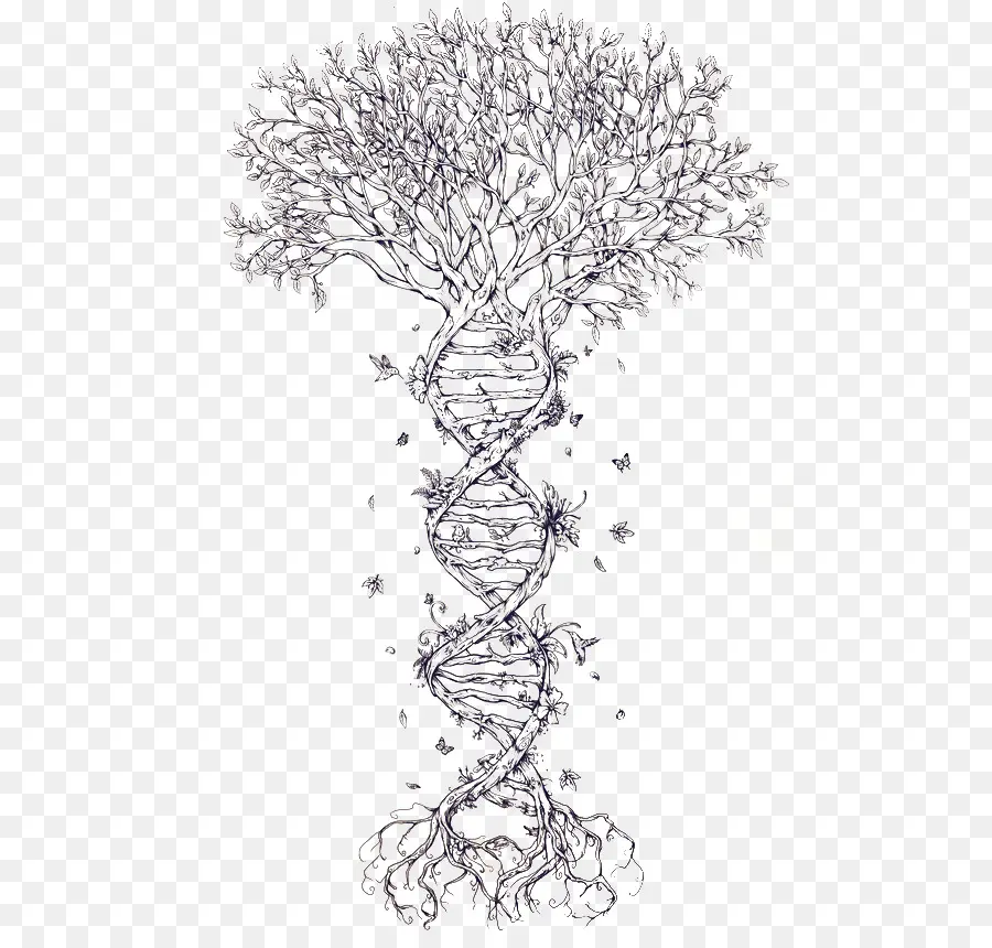 Dna，Tatuagem PNG