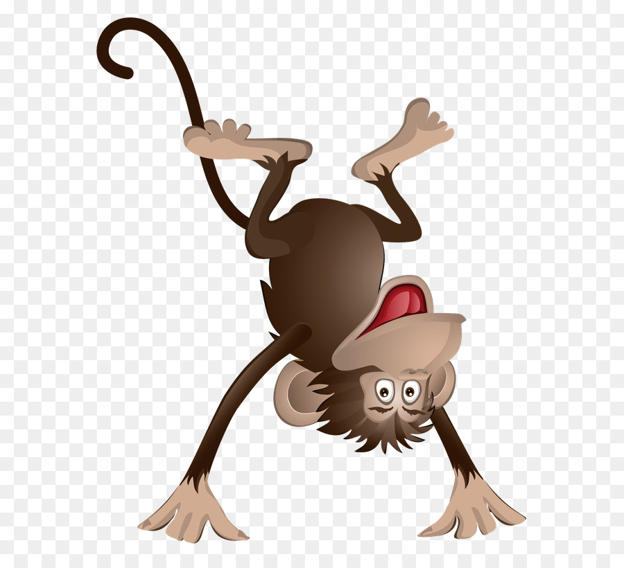 Macaco，Desenho PNG