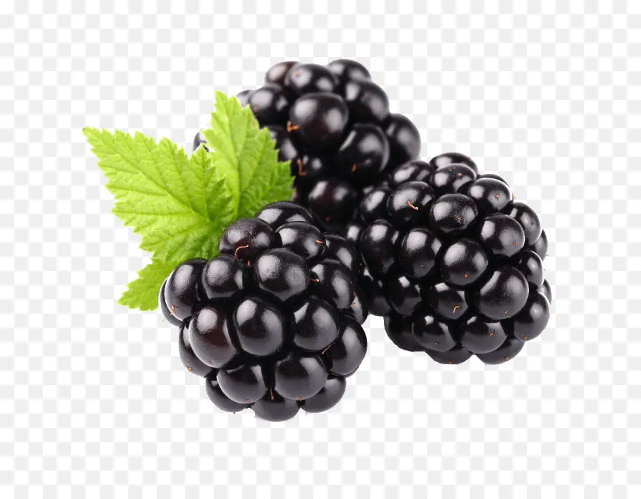 Blackberry，Frutas PNG