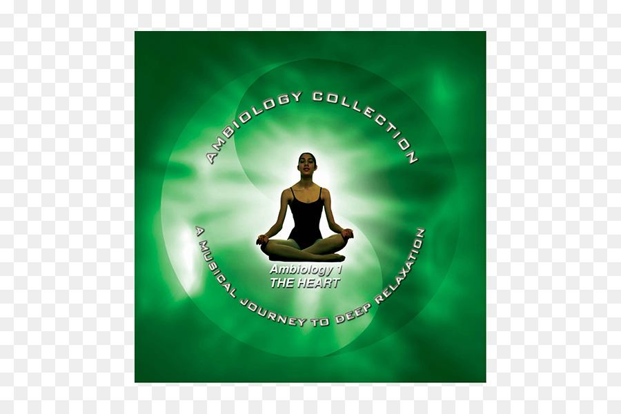 Oficina Avançada De Meditações，Meditação Andando Passo Para O Seu Futuro PNG
