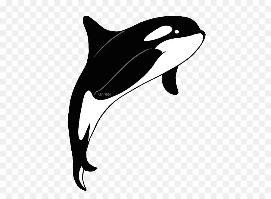 Baleia Assassina，Orca PNG