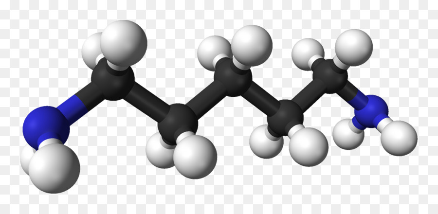 Estrutura Química，Molécula PNG