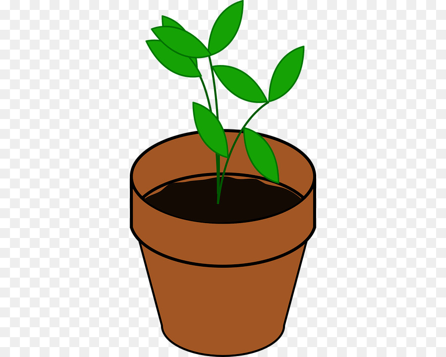 Flowerpot，Planta De Casa PNG