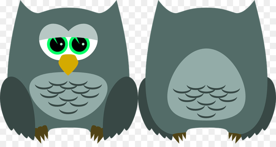 Coruja，Aves PNG