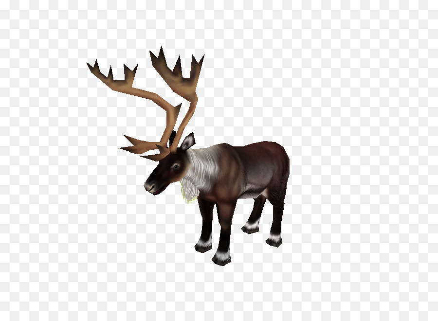 Rena，Elk PNG