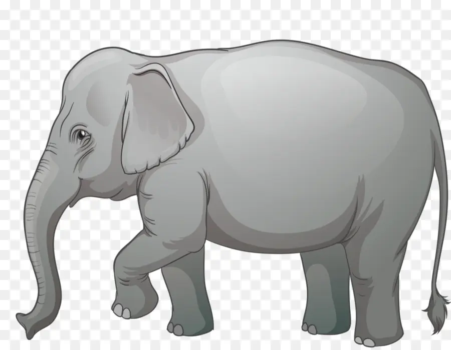 Elefante Africano，Elefantes PNG