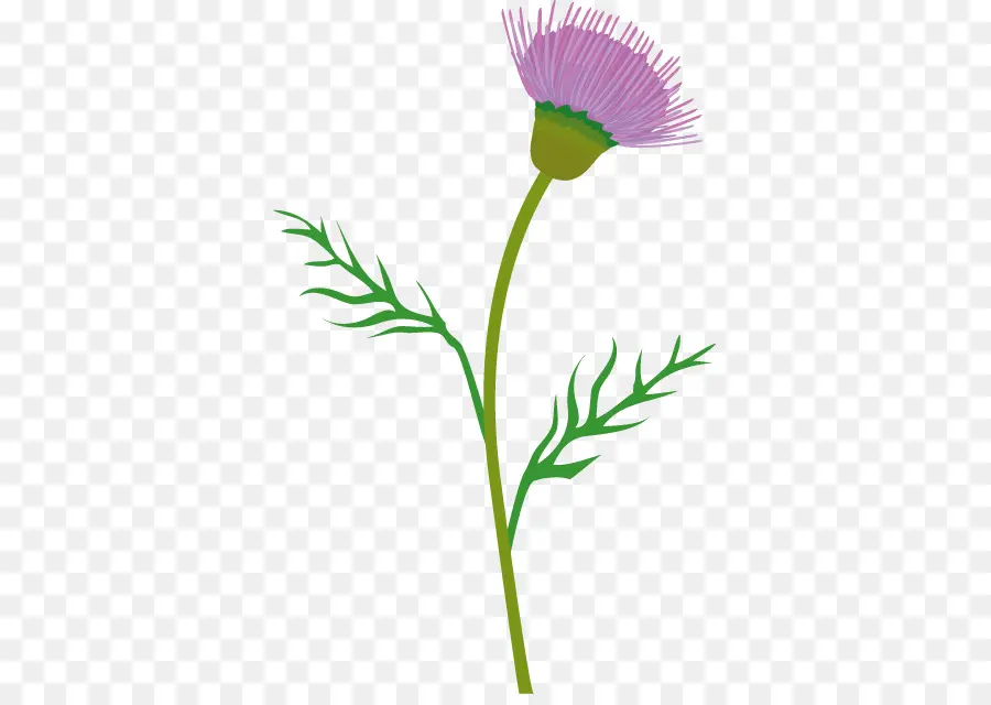 Thistle，Lança Thistle PNG