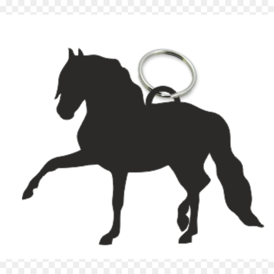 Cavalo Andaluz，Decalque PNG