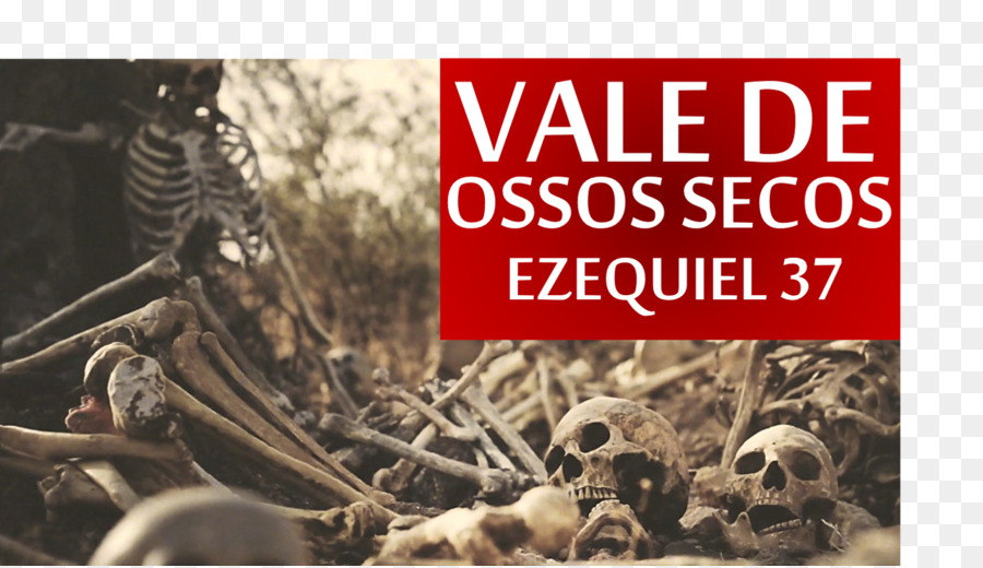 Ossos Secos，Esqueleto PNG