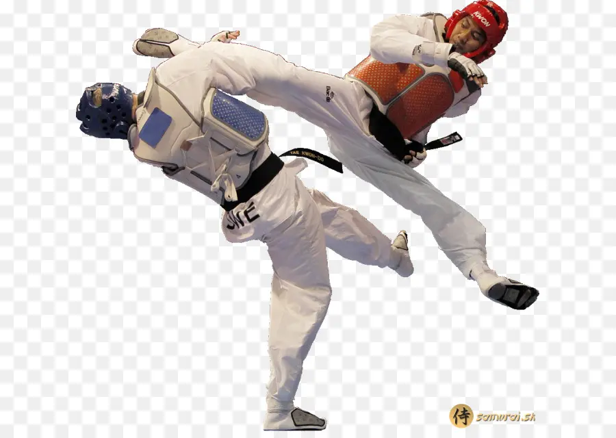 Lutadores De Taekwondo，Artes Marciais PNG