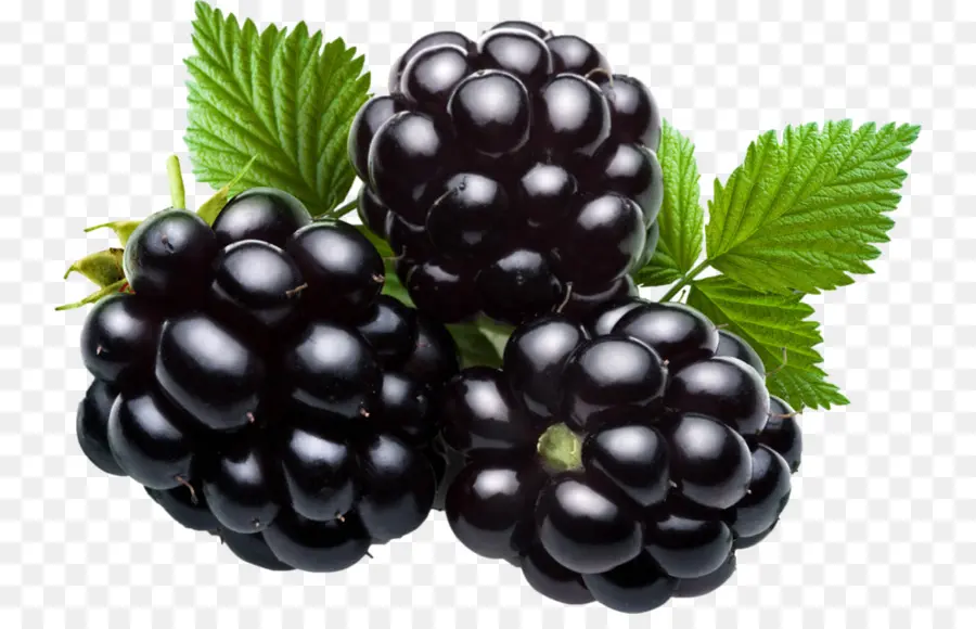 Blackberry，Frutas PNG