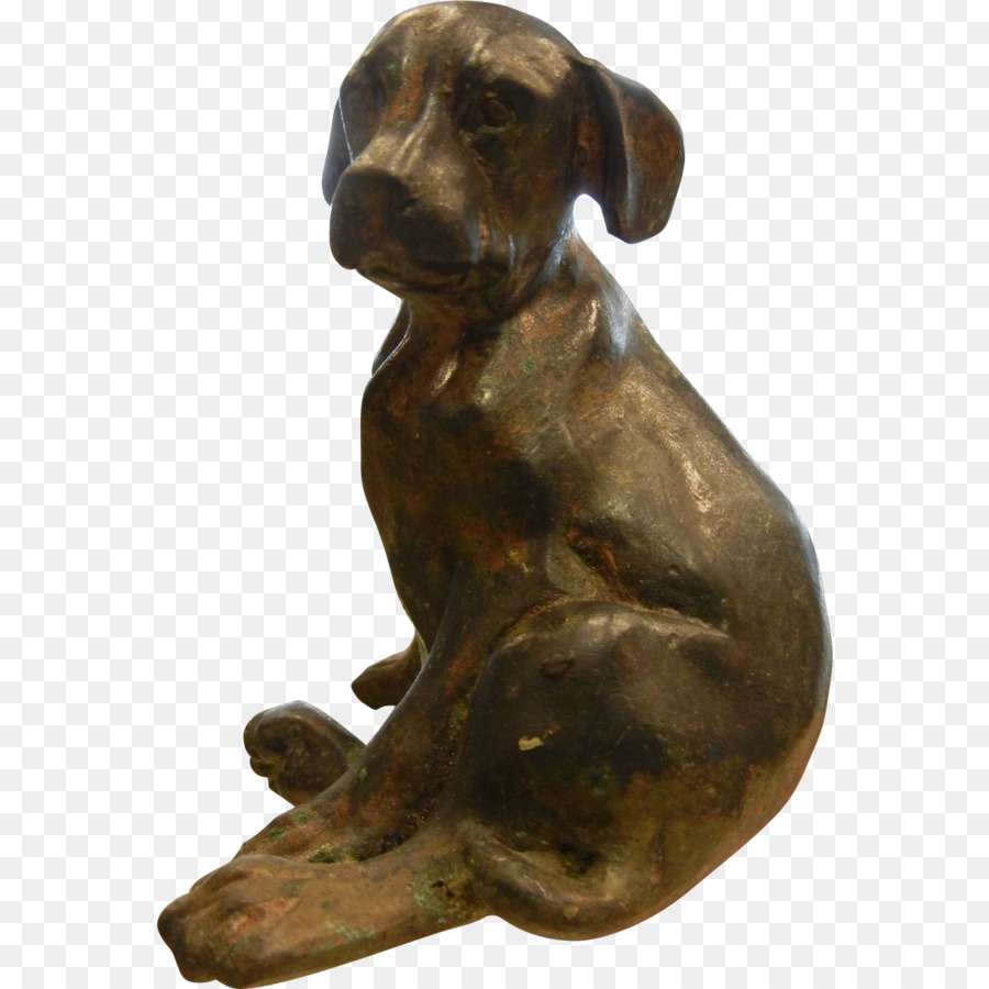 Raça Do Cão，Bronze PNG