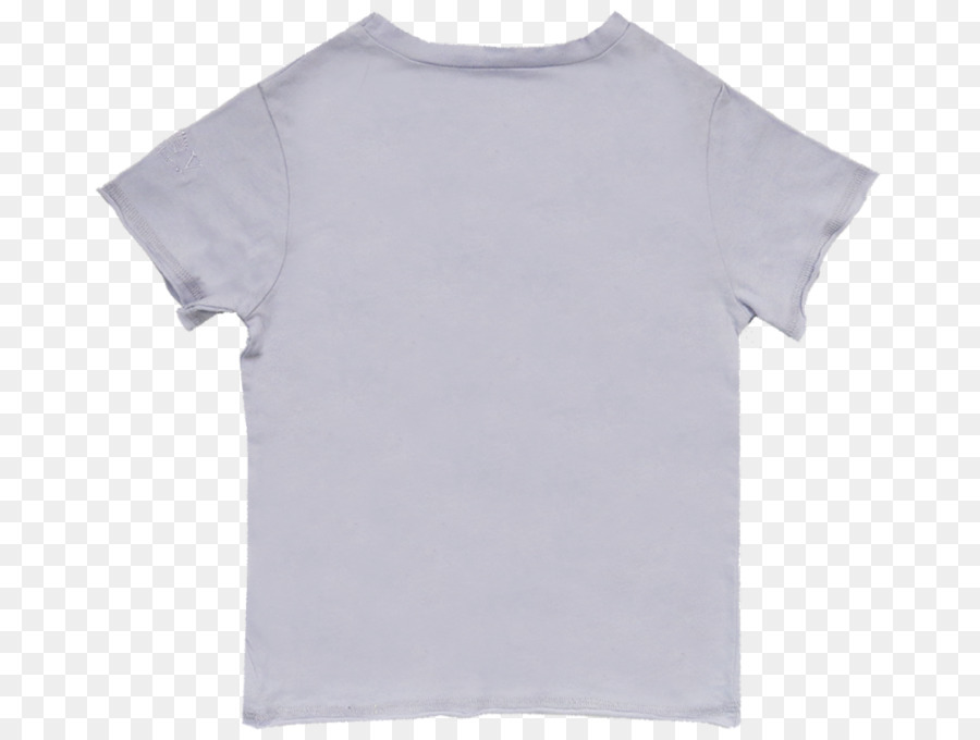 Tshirt，Camisa Polo PNG