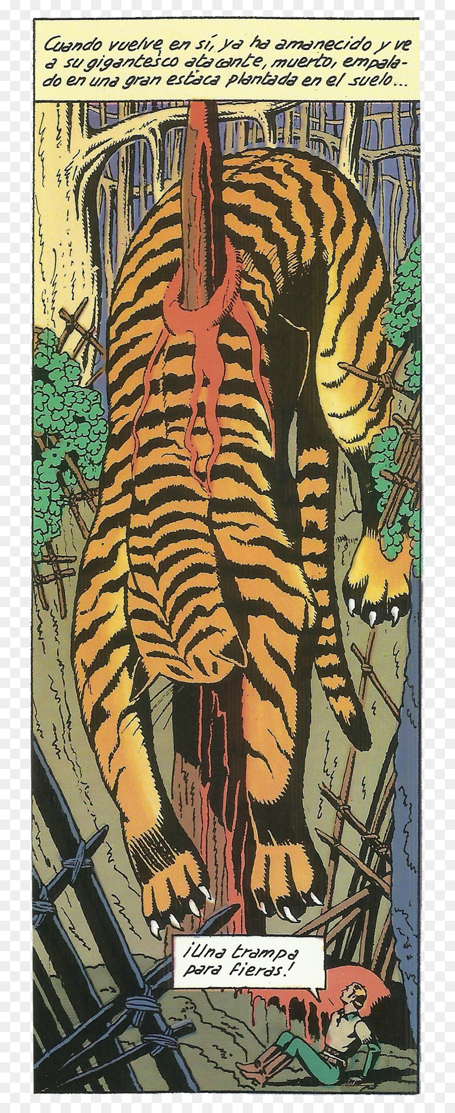 Tigre，Histórias Em Quadrinhos PNG
