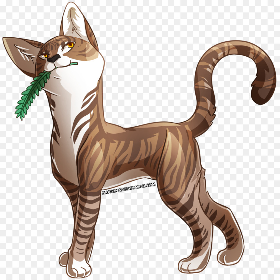 Gato，Leafpool PNG