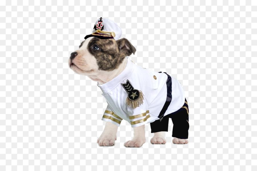 Cachorrinho Fofo De Uniforme，Cachorro PNG