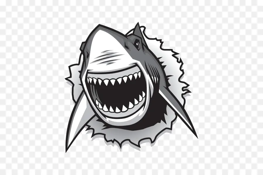Tubarão，Grande Tubarão Branco PNG