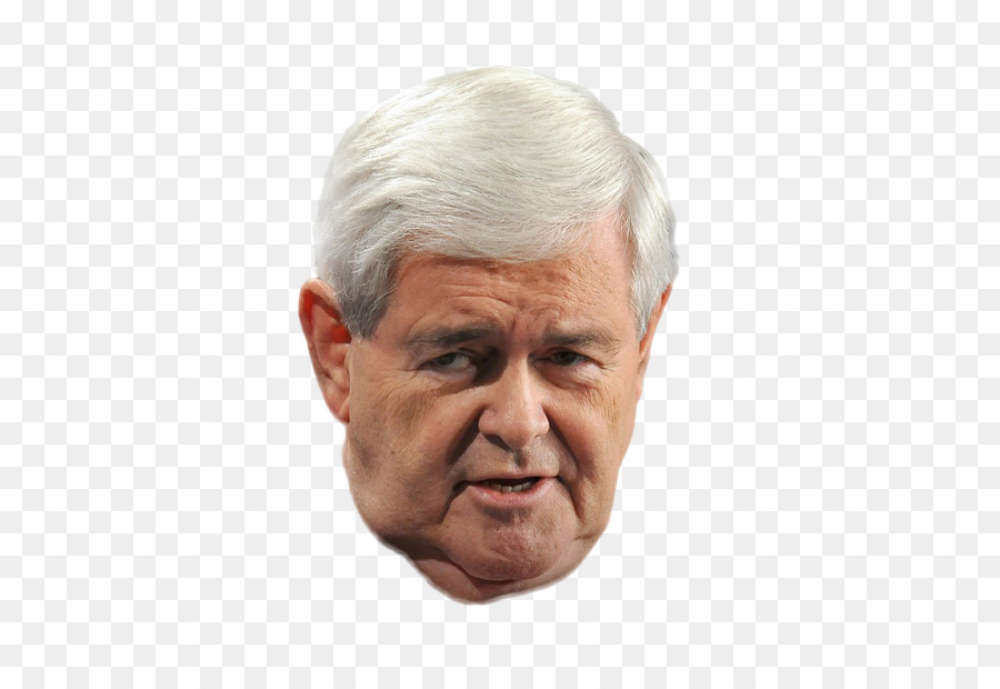 Newt Gingrich，Queixo PNG