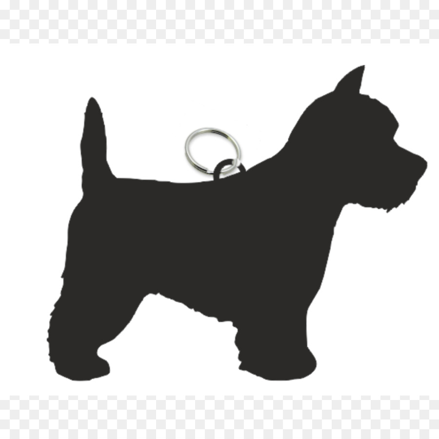 Scottish Terrier，Cairn Terrier PNG