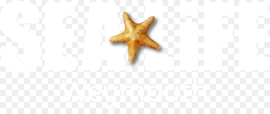 Estrela Do Mar，Body Jóias PNG