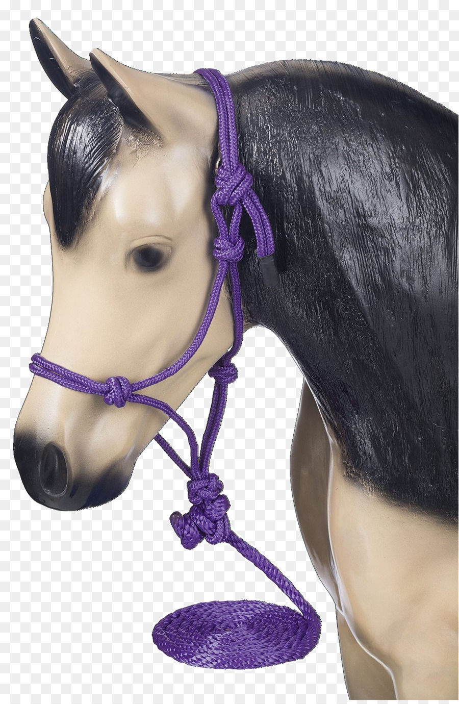 Halter，Americana De Cavalo Em Miniatura PNG