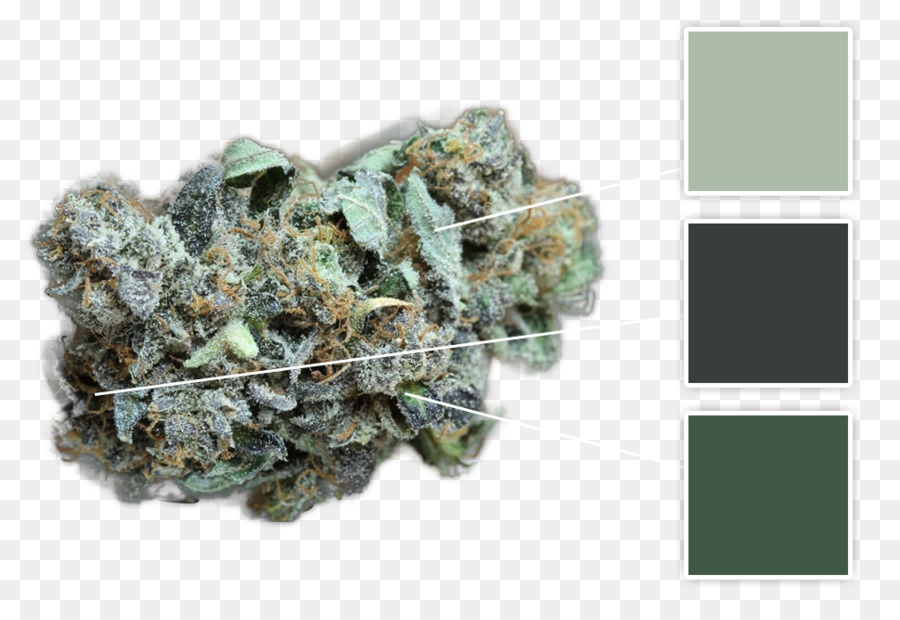 Mineral，Cannabis Medicinal PNG