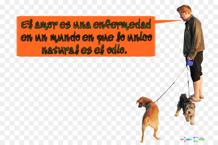 Cachorro，Passeio De Cães PNG