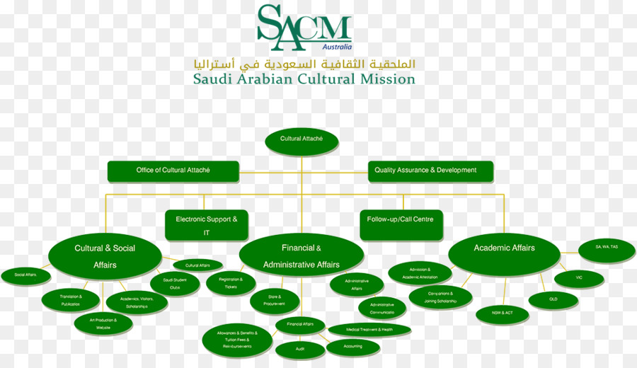 A Arábia Saudita，Organização PNG