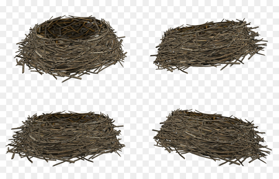 Nest，Ninho De Pássaro PNG