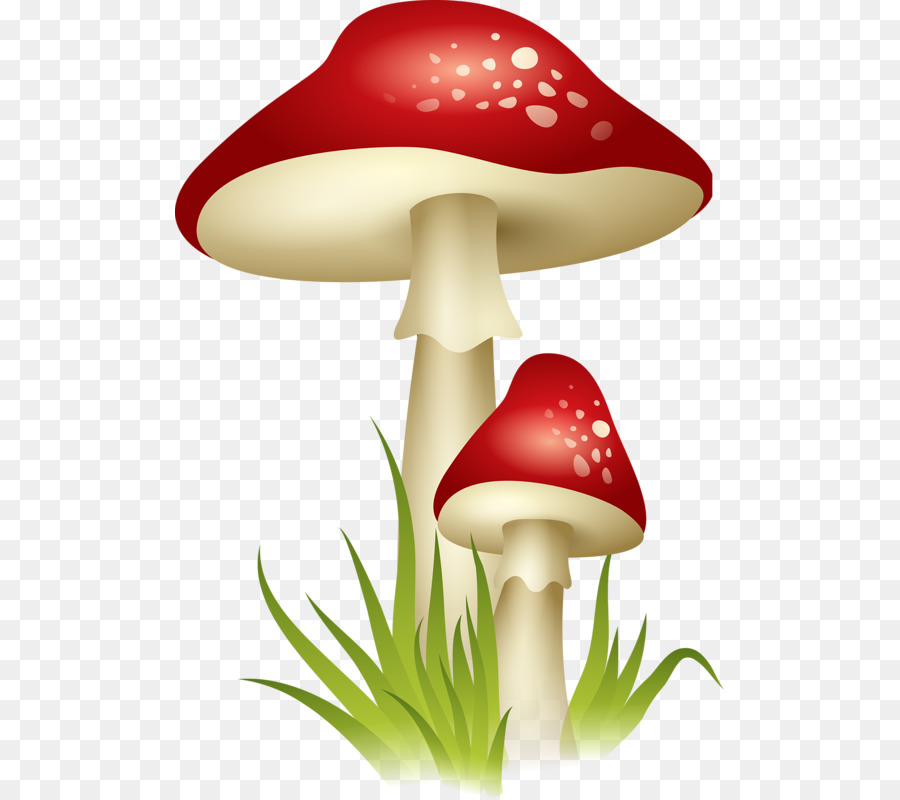 Cogumelos Vermelhos，Fungos PNG