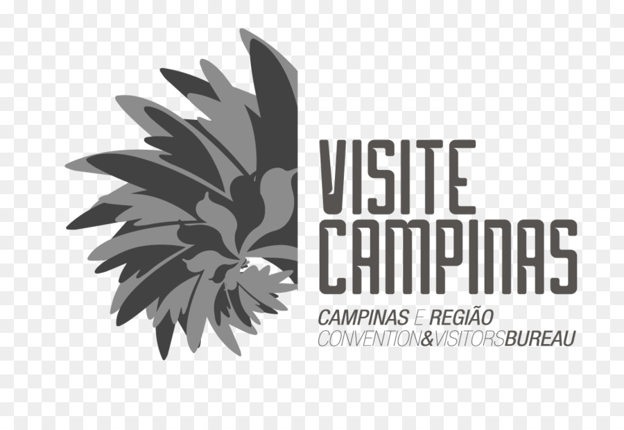 Logo，Radisson Vermelho Campinas PNG