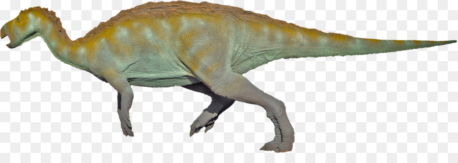 Velociraptor，Tiranossauro PNG