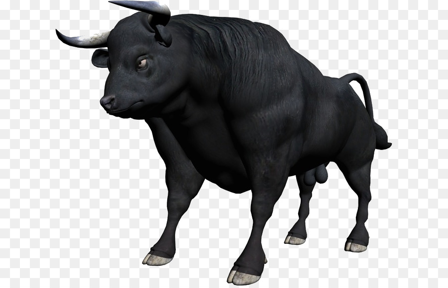 Bull，Boi PNG