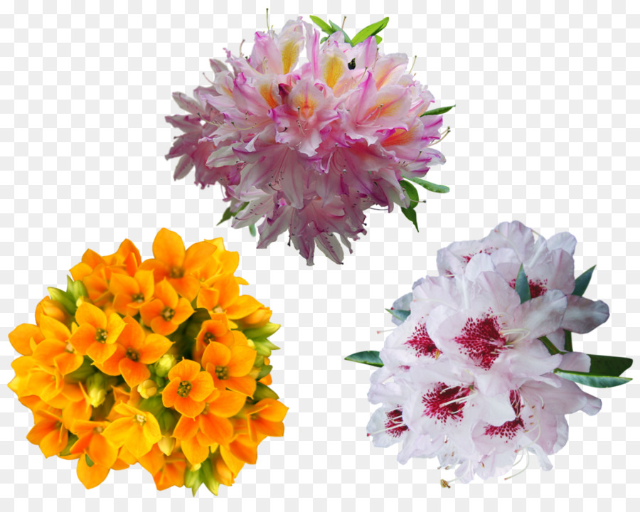 Arbusto，Flores De Corte PNG