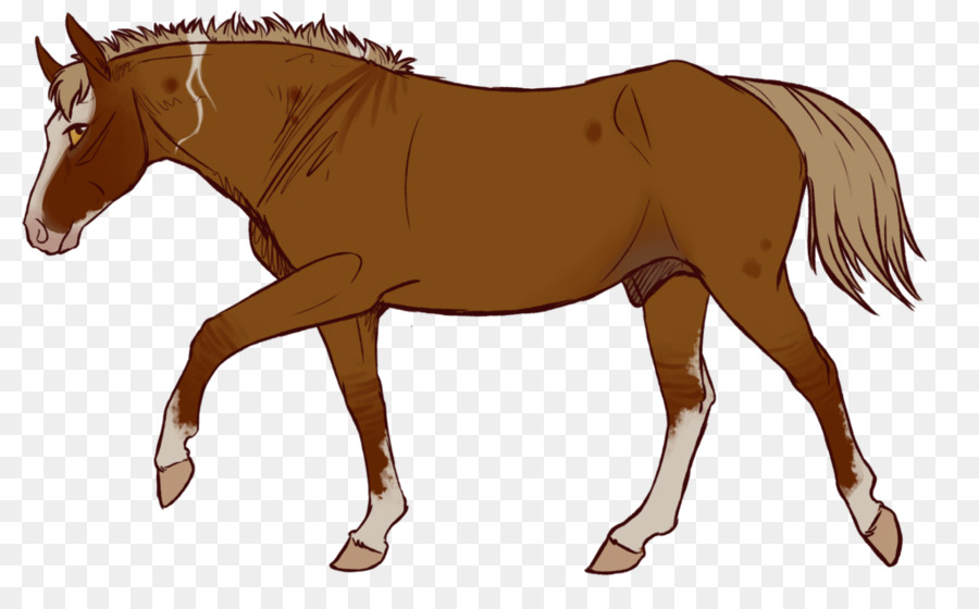 Cavalo Correndo，Animal PNG