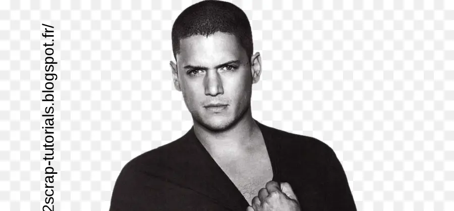 Wentworth Miller，Prison Break PNG