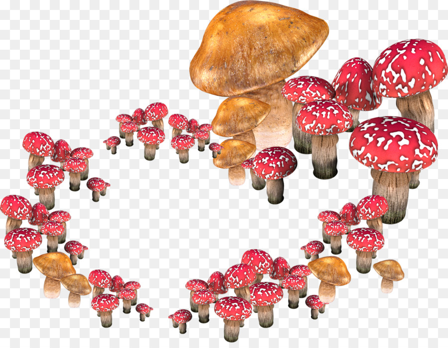 Cogumelos，Fungos PNG